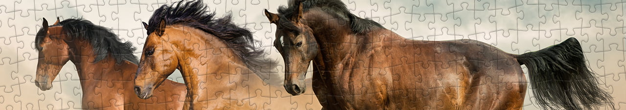 Collezione di puzzle Cavalli arabi puzzleYOU