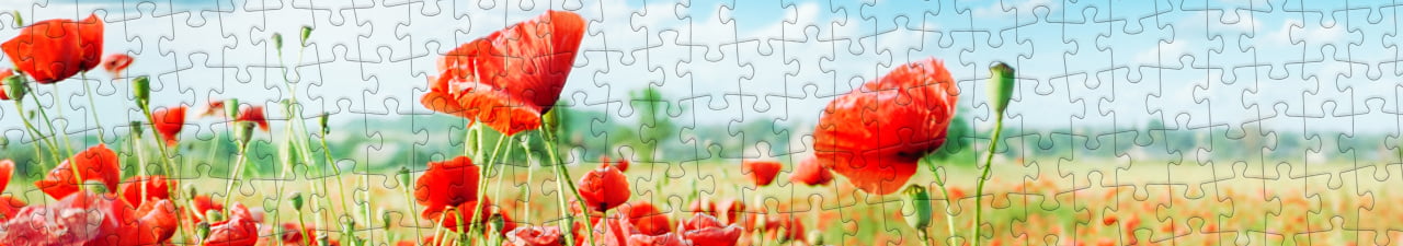 Collezione di puzzle Prati fioriti puzzleYOU