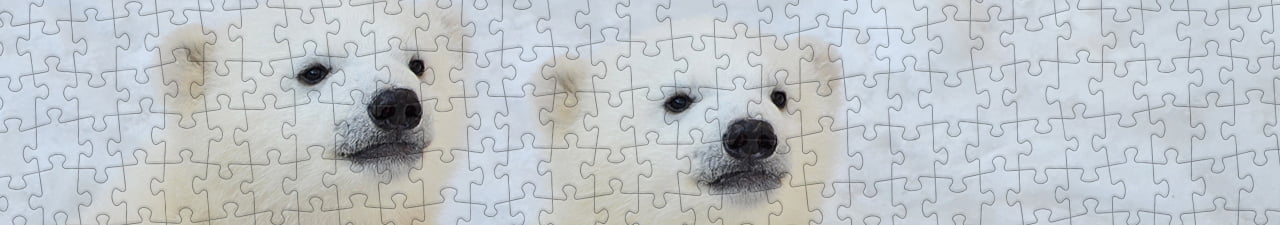 Collezione di puzzle Orsi polari puzzleYOU