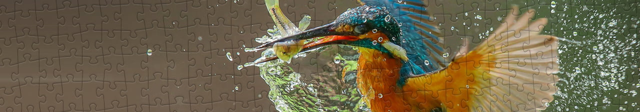 Collezione di puzzle Martin pescatore puzzleYOU
