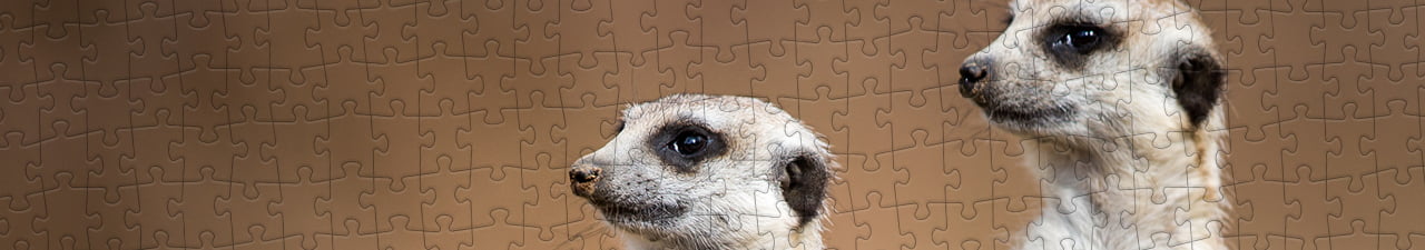 Collezione di puzzle Suricati puzzleYOU
