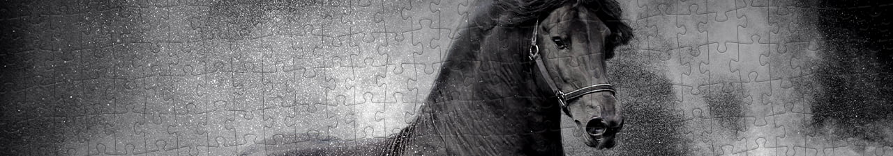 Collezione di puzzle Cavalli frisoni puzzleYOU