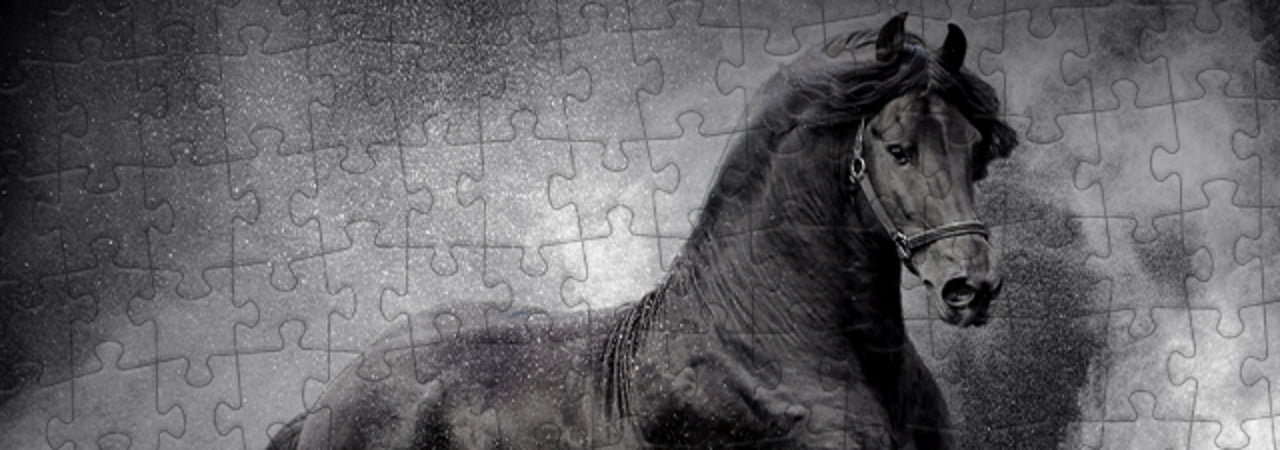 Collezione di puzzle Cavalli frisoni puzzleYOU