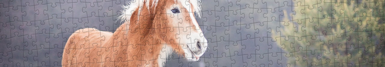 Collezione di puzzle Cavalli Haflinger puzzleYOU