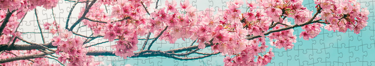 Collezione di puzzle Fiori di ciliegio puzzleYOU