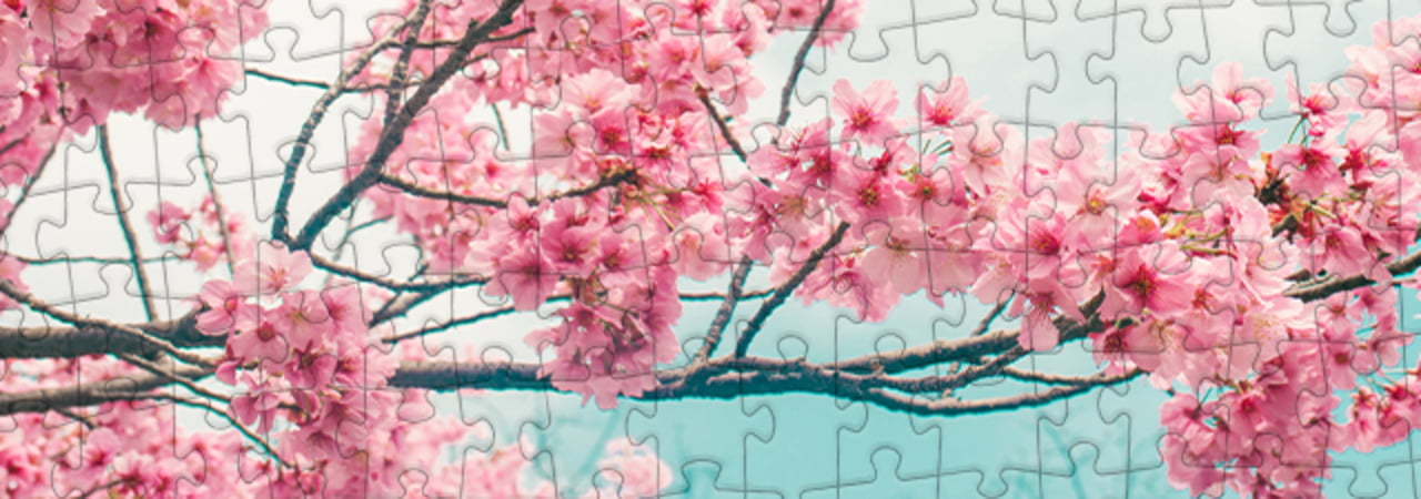 Collezione di puzzle Fiori di ciliegio puzzleYOU