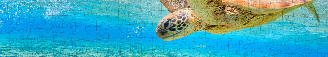 Collezione di puzzle Tartarughe marine puzzleYOU