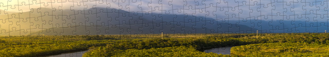 Collezione di puzzle Foresta pluviale puzzleYOU