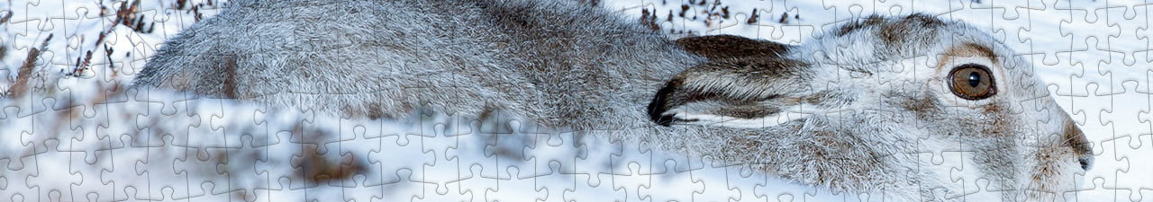 Collezione di puzzle Coniglietti della neve puzzleYOU