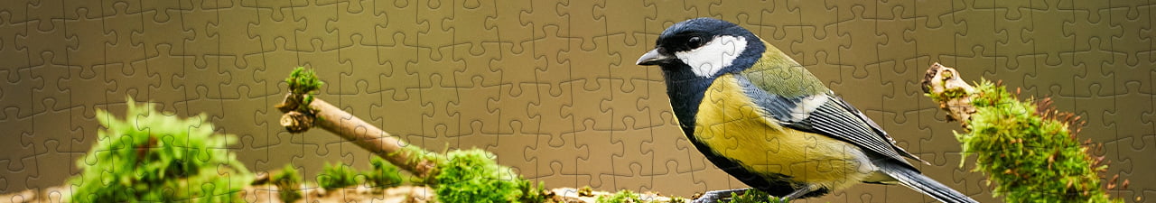 Collezione di puzzle Uccelli canterini puzzleYOU