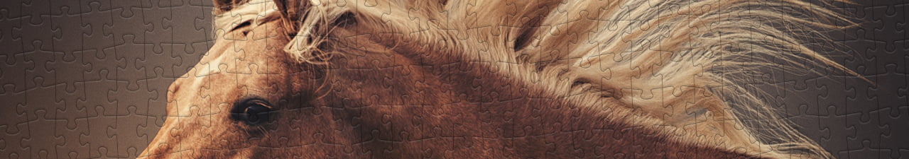 Collezione di puzzle Cavalli occidentali puzzleYOU