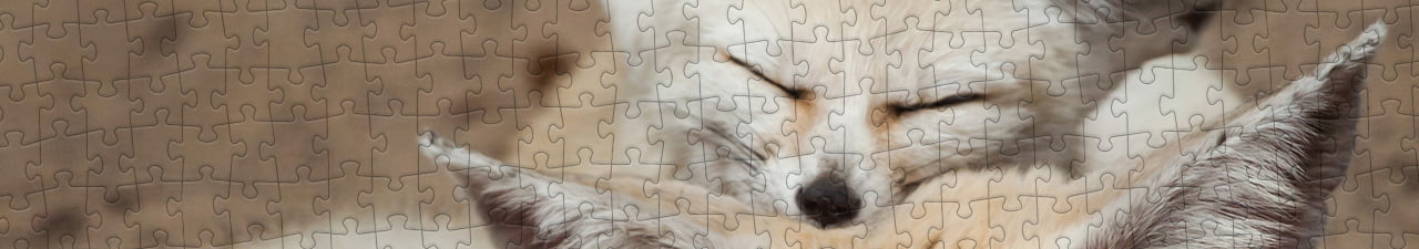 Collezione di puzzle Volpe del deserto puzzleYOU