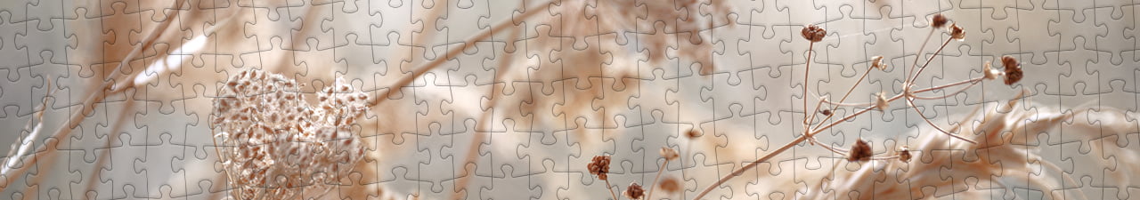 Collezione di puzzle Fiori e piante puzzleYOU