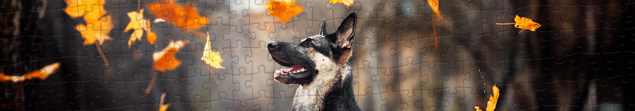 Collezione di puzzle Pastore tedesco puzzleYOU