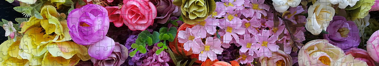 Collezione di puzzle 48 pezzi puzzleYOU