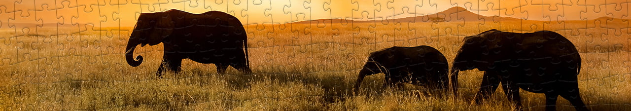 Collezione di puzzle 100 pezzi puzzleYOU
