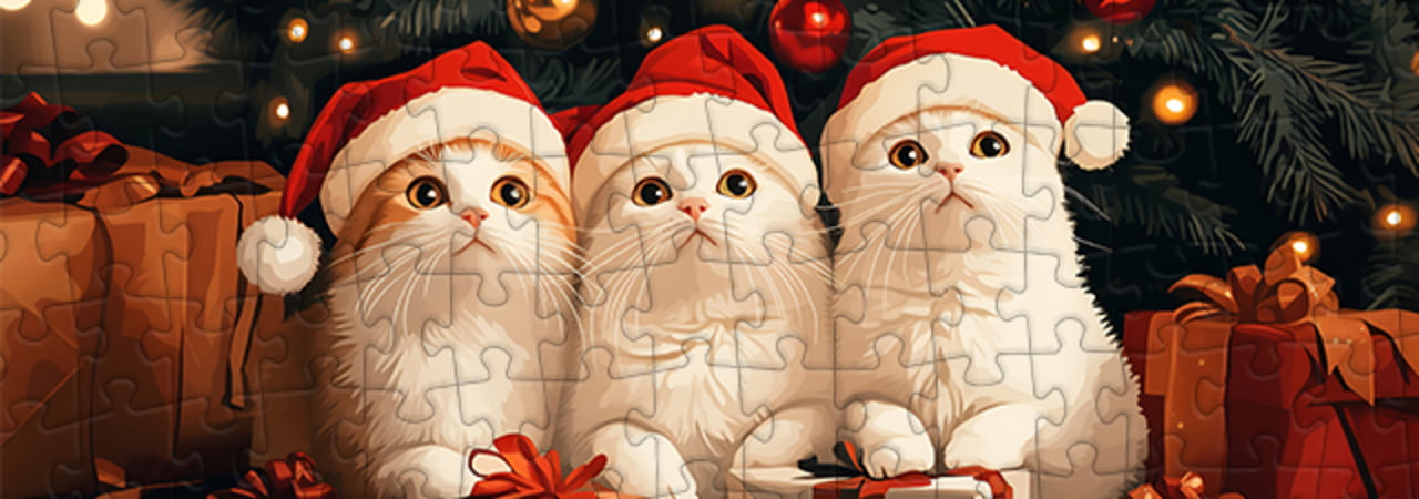 Calendario dell'Avvento per gatti