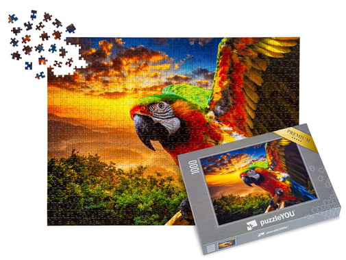 Collezioni di puzzle